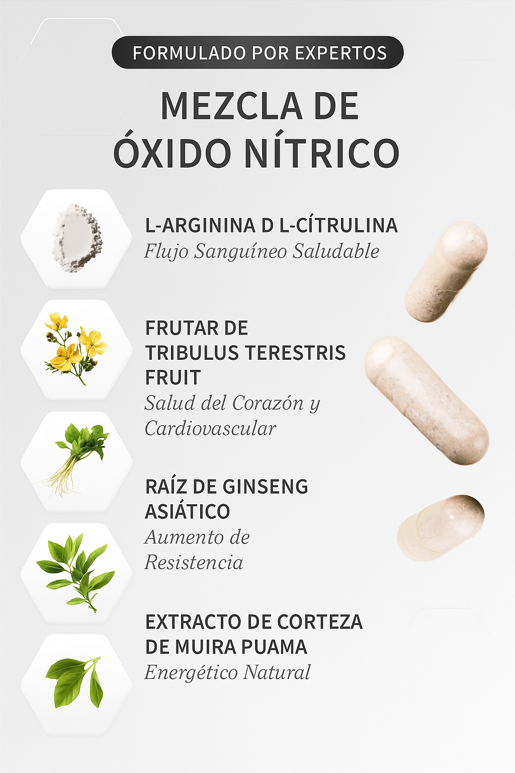 Nitric Oxide Booster || Energía, rendimiento y recuperación para tu rutina diaria.