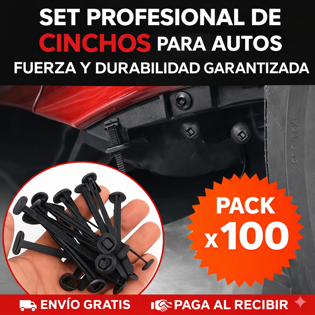 Set Profesional de cinchos multifuncionales x 100 und